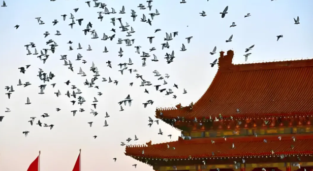 1757052121379467.png image.png